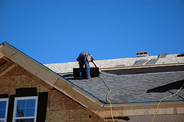 Best Roof Leak Repair  in Van Meter, IA