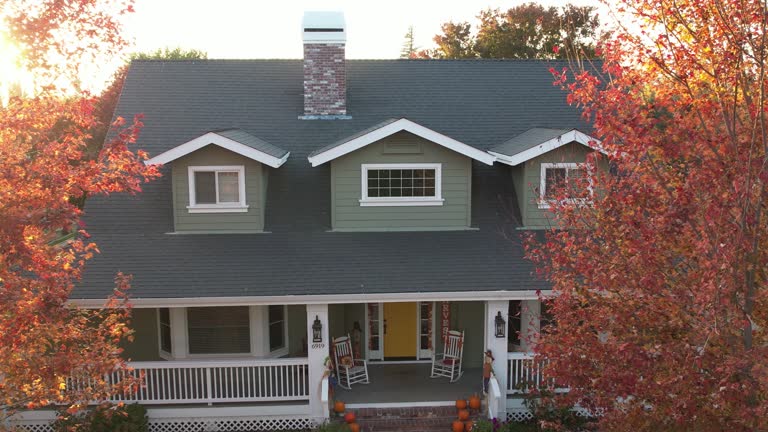 Best Asphalt Shingle Roofing  in Van Meter, IA