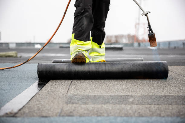 Best Cold Roofs  in Van Meter, IA