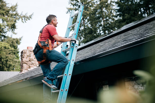 Best Steel Roofing  in Van Meter, IA