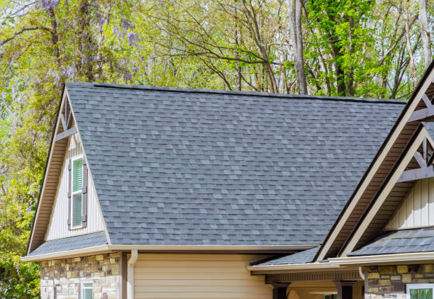 Best Rubber Roofing (EPDM, TPO)  in Van Meter, IA